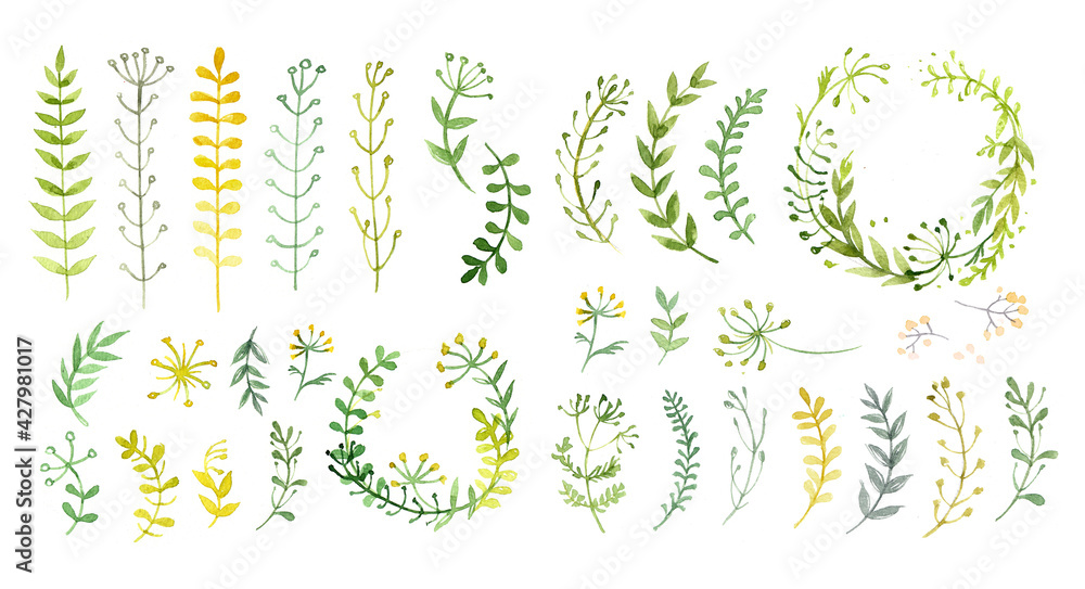 Set of flowers painted in watercolor on white paper. Sketch of flowers and herbs. Wreath, garland of flowers. Set of flowers painted in watercolor on white paper. Sketch of flowers and herbs. Wreath, garland of flowers.