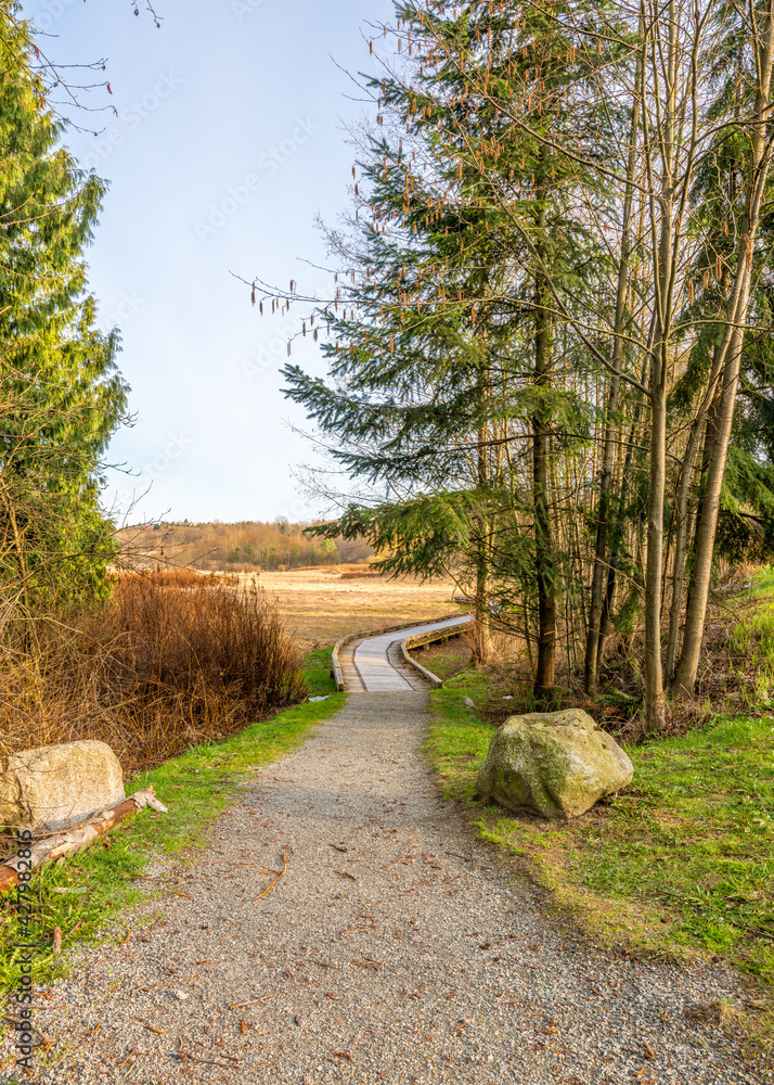 Fototapeta premium Trail through lush green forest in Deer Lake Park, Vancouver, Canada.