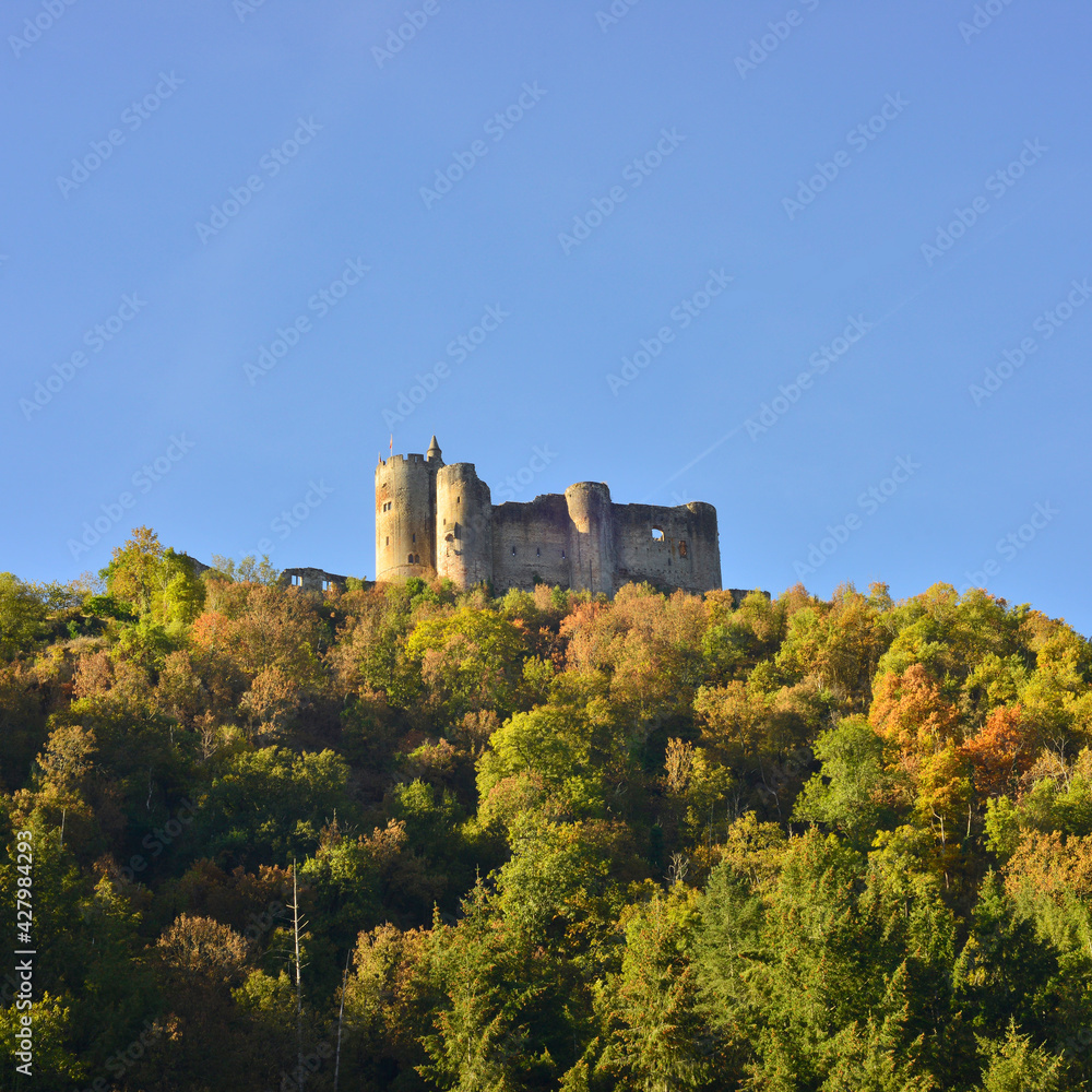 Carré château de Najac (12270)  au sommet de la forêt, département de l'Aveyron en région Occitanie, France