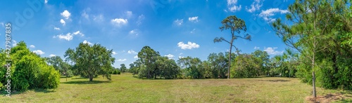 Panorama of Pine Island Ridge Natural Area - Davie, Florida, USA photo
