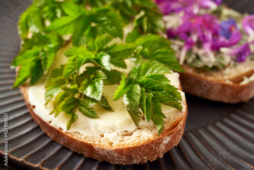 Slices of sourdough bread with butter and wild edible spring plants - goutweed , purple dead-nettle and lungwort