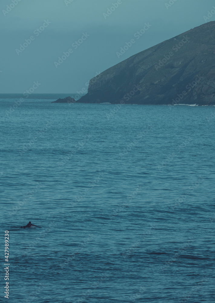 Fototapeta premium sea and sky and surfer 