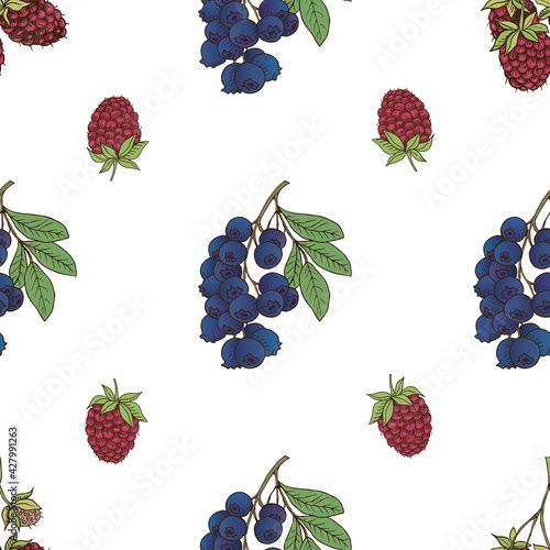 vector graphic seamless pattern with blue berry-04