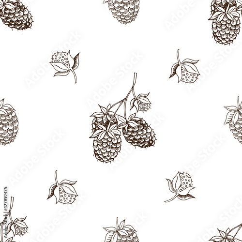 vector graphic seamless pattern with raspberry berry-01