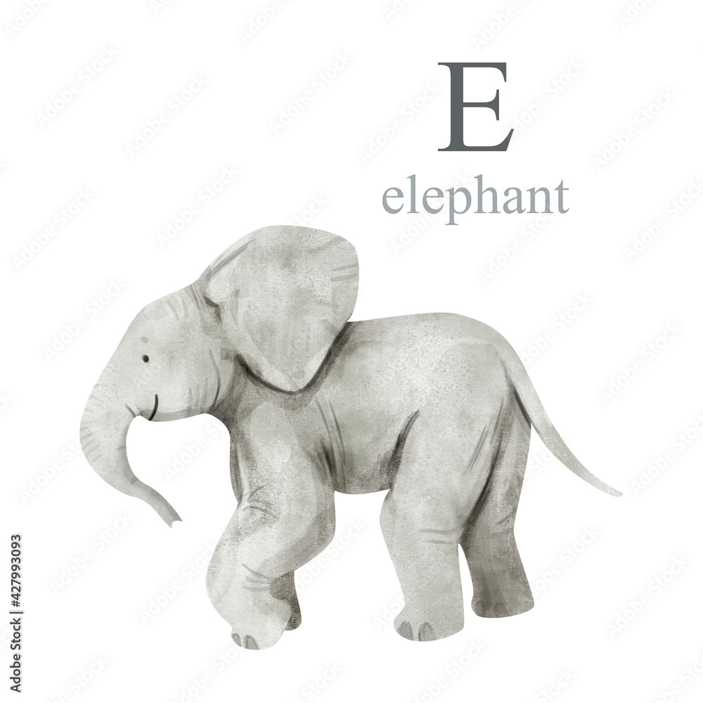 Watercolor illustration of a cute elephant. Cute animal alphabet series A-Z