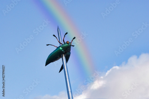 Rainbow over the giant jewel beetle of Leuven, Belgium. Huge cockroach skewered by a large glass needle. Jan Fabre Totem. photo