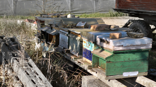 Boxes for bees arranged in a row. Wooden beehives for worker bees in the countryside. Honey production.