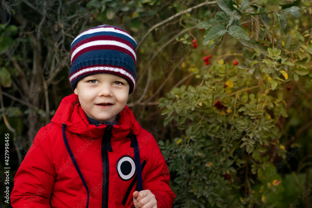Little boy posing against a background of vegetable green leaves. Boy model in a red jacket smiles at the camera. Little boy posing against a background of vegetable green leaves. Boy model in a red jacket smiles at the camera.