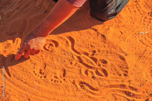 aboriginal woman hands creating shapes with red sand on the ground in aboriginal art style. Northern Territory, Australia © bennymarty