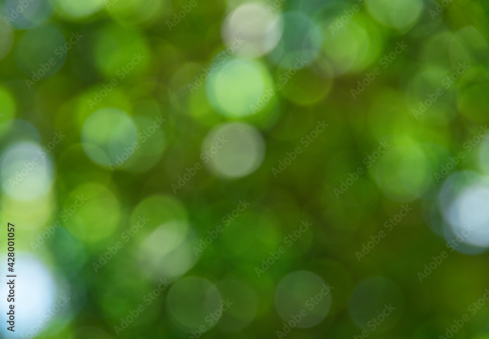 Green blurred background and sunlight Green blurred background and sunlight