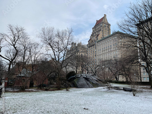 Winter in the park