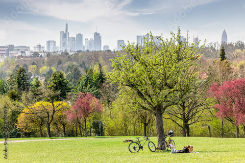 Frankfurt seen from a park outside of the skyline with bycicles under a tree