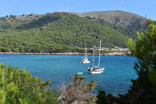 boats on the lake