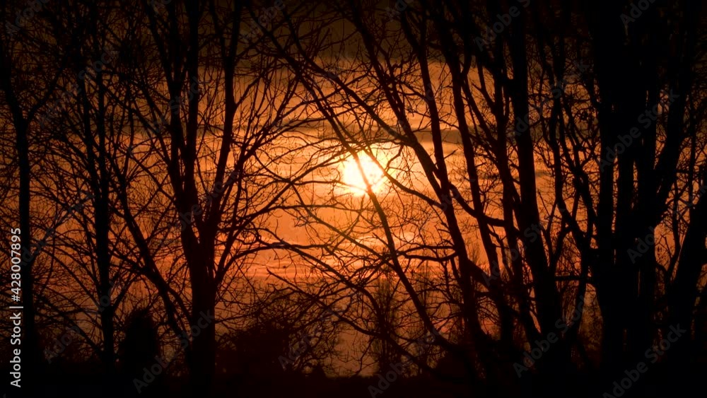 Sun setting on the horizon, sunset through trees
Sun setting on the horizon, sunset through trees