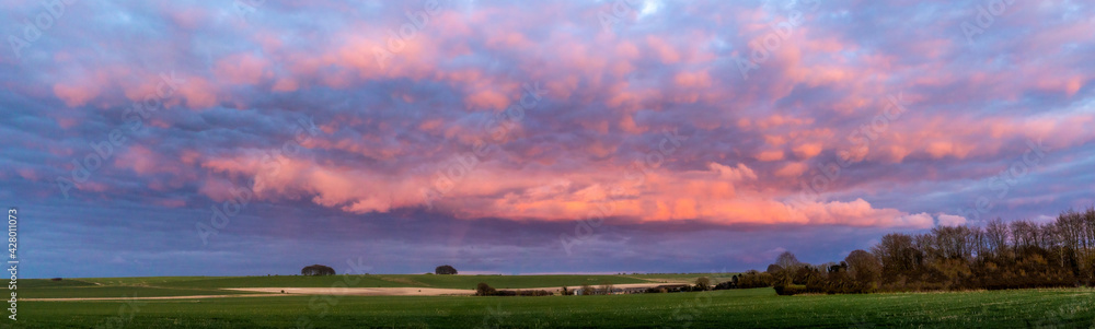 Panorama of sunset in the field