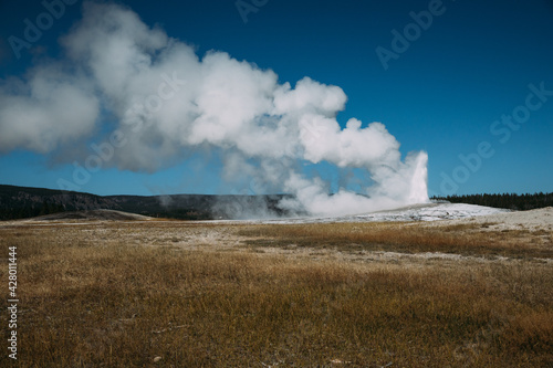 The Old Faithful geyser in park national park
