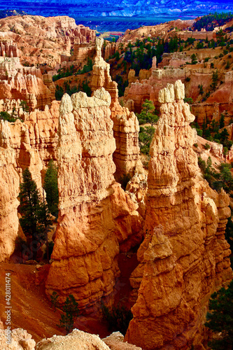 Standing Tall in Bryce