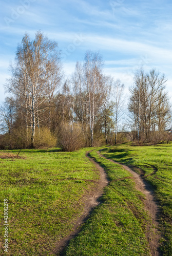 Spring landscape. Green grass, the road going into the distance and the blue sky.