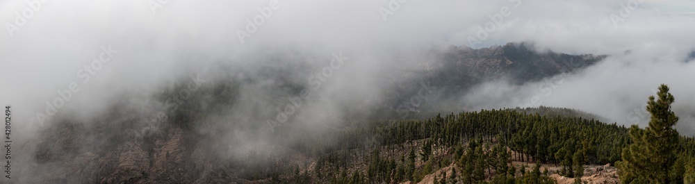 Mountains of Gran Canaria, Spain, with low clouds between pine forest