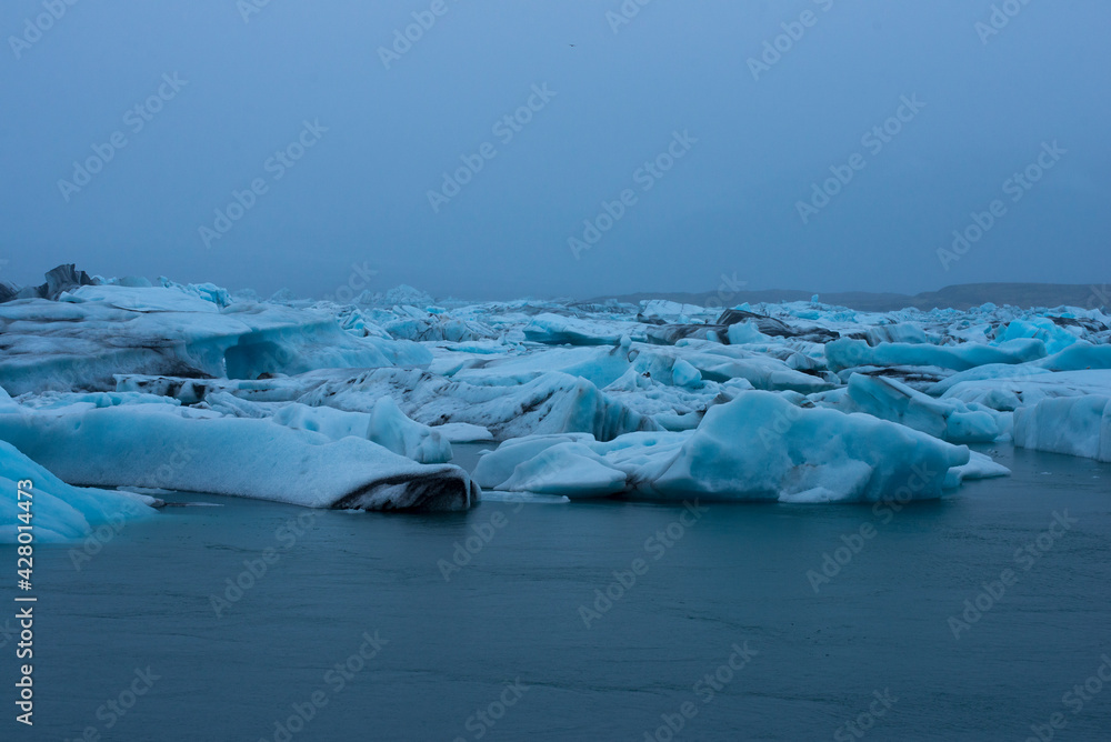 Pack of icebergs in polar regions, Iceland