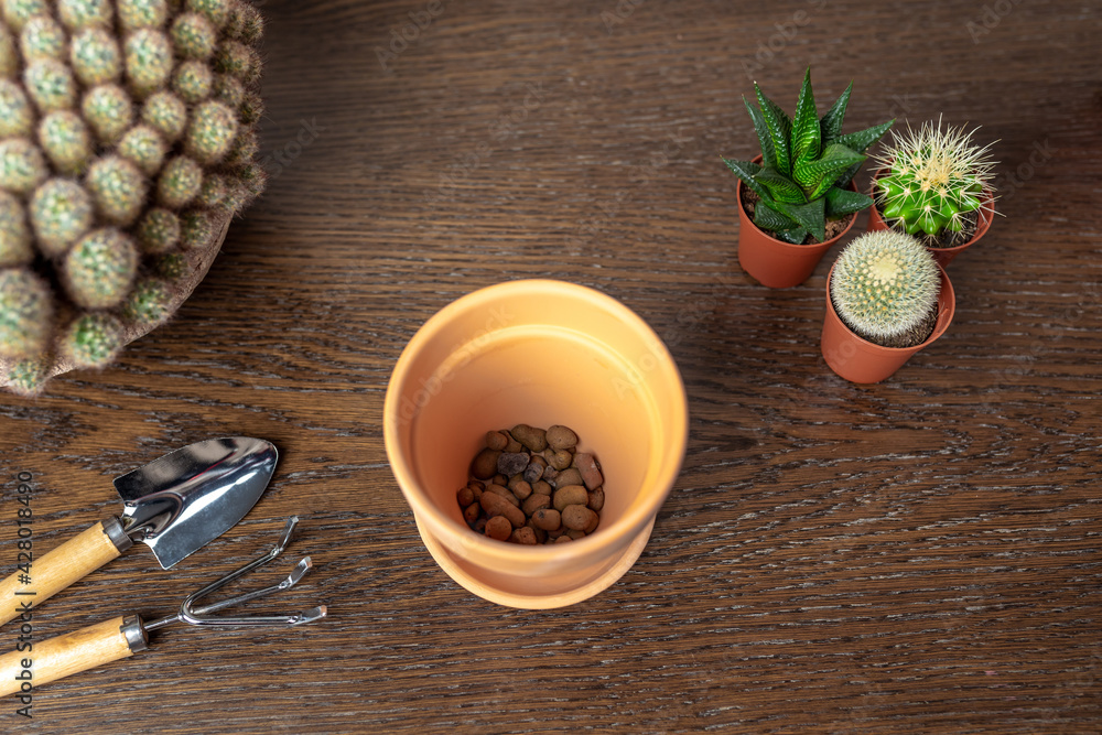 Ceramic flower pot with expanded clay and small garden tools for transplanting cacti or succulents. Hobby or gardening concept Ceramic flower pot with expanded clay and small garden tools for transplanting cacti or succulents. Hobby or gardening concept