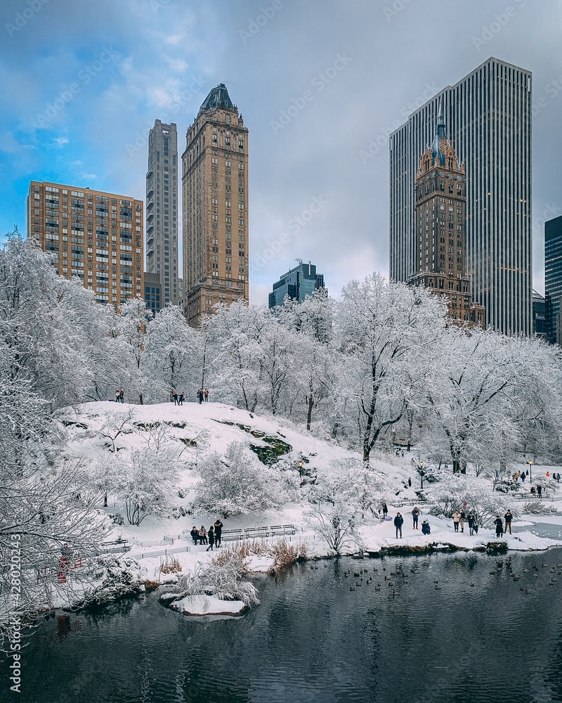 A snowy winter day at The Pond, in Central Park, New York City
