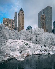 A snowy winter day at The Pond, in Central Park, New York City