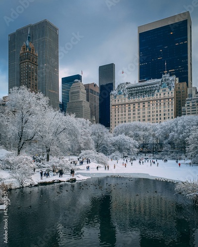 Obraz na płótnie A snowy winter day at The Pond, in Central Park, New York City w salonie