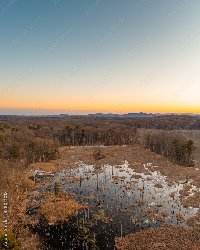 View of wetland at sunset, in Rhinebeck, Hudson Valley, New York