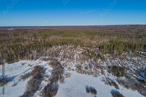 Beautiful Sunny landscape with forest, snow and frozen river. Aerial photography from a drone
