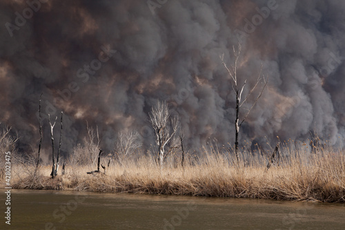Disaster. Fire in national park. Russia. Burning reeds on Volga River in Astrakhan region. Thick black smoke pollutes the atmosphere