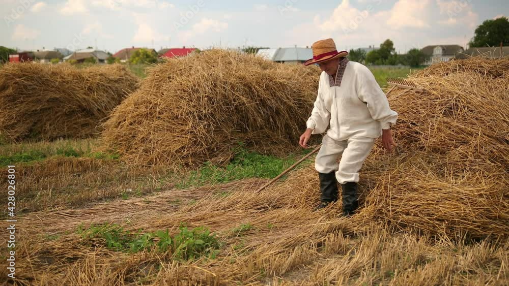 Tired grandfather after hard work sits down on a haystack, rests, wipes sweat Tired grandfather after hard work sits down on a haystack, rests, wipes sweat