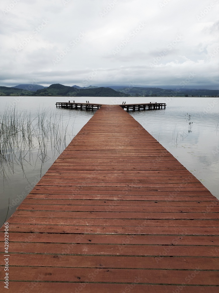 Fototapeta premium bridge over the lake