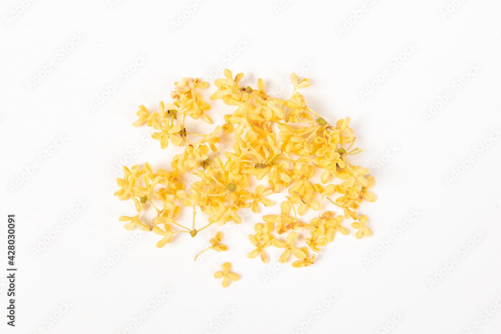 Sweet-Scented yellow osmanthus fragrans Sweet-Scented yellow osmanthus fragrans