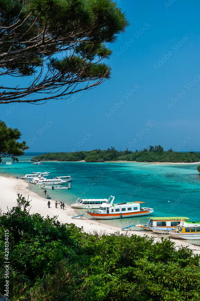 Stunning scene of sightseeing boats in the incredible and famous Kabira bay with its emerald green super transparent waters, tree in foreground, islands on background.