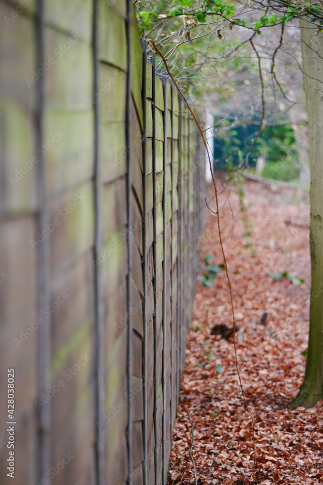 old high wooden fence at the edge of the forest old high wooden fence at the edge of the forest
