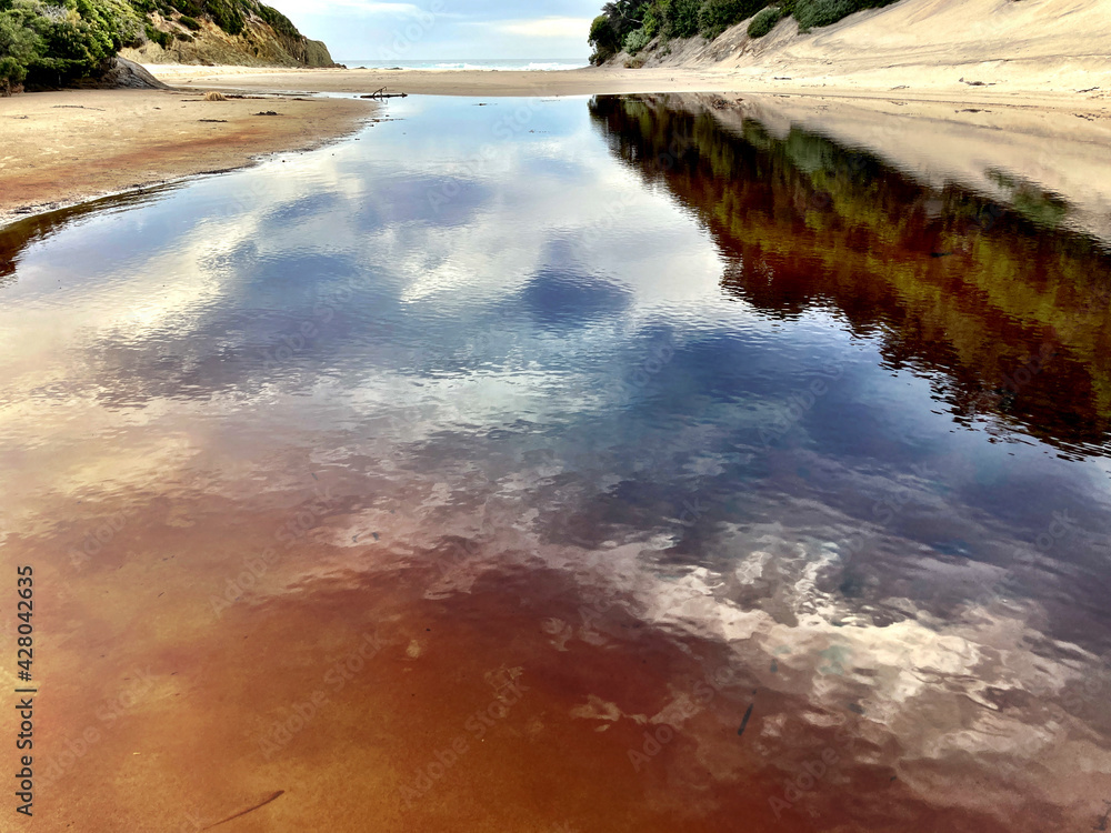 Ταπετσαρία Reflection in lagoon behind Osmiridium Beach, South West Tasmania, Australia