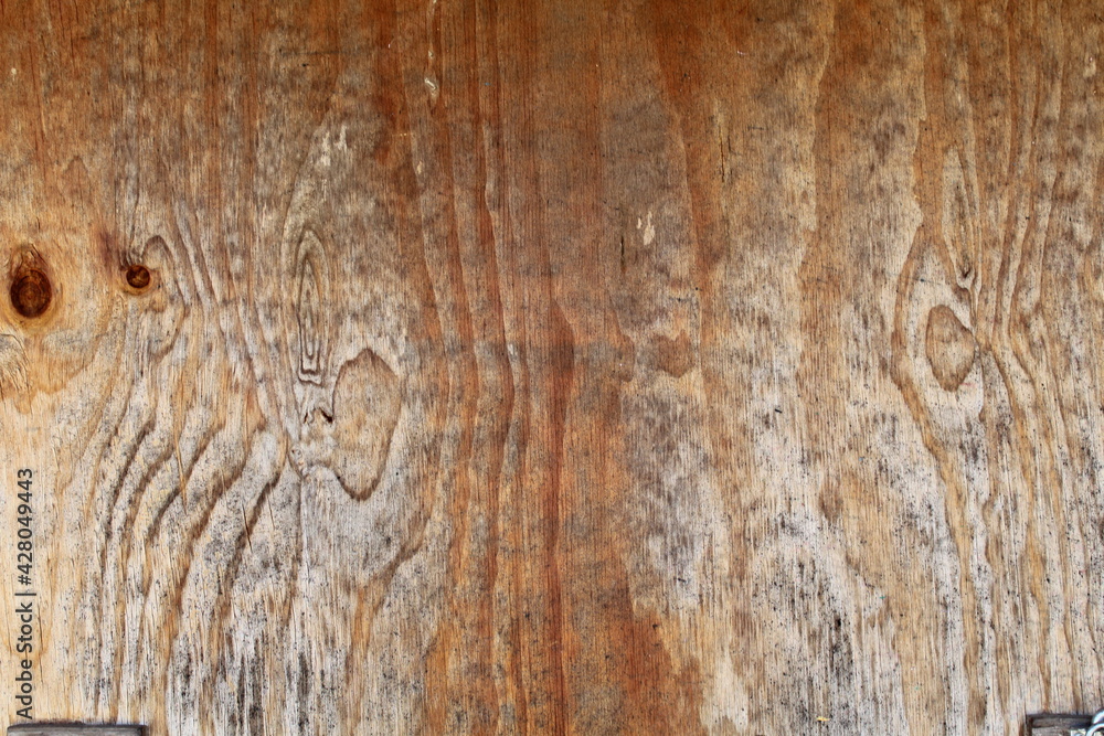 Obraz premium Wood panel grain