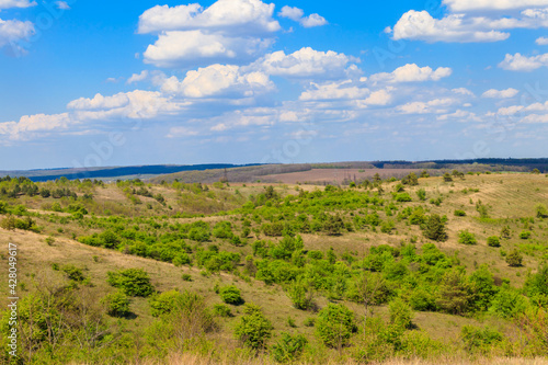 Spring landscape with green trees, meadows, fields and blue sky