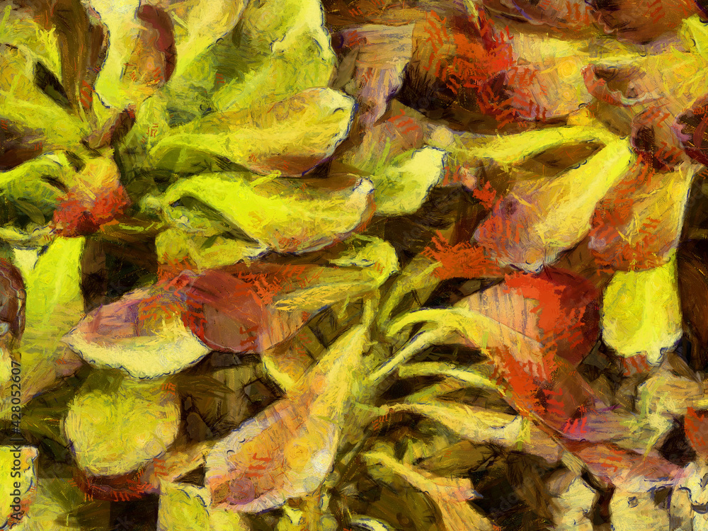 An ornamental shrub with beautiful leaves and various shapes Illustrations creates an impressionist style of painting. An ornamental shrub with beautiful leaves and various shapes Illustrations creates an impressionist style of painting.