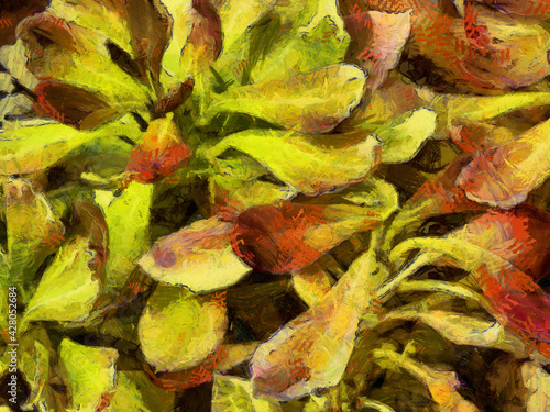 An ornamental shrub with beautiful leaves and various shapes Illustrations creates an impressionist style of painting.
