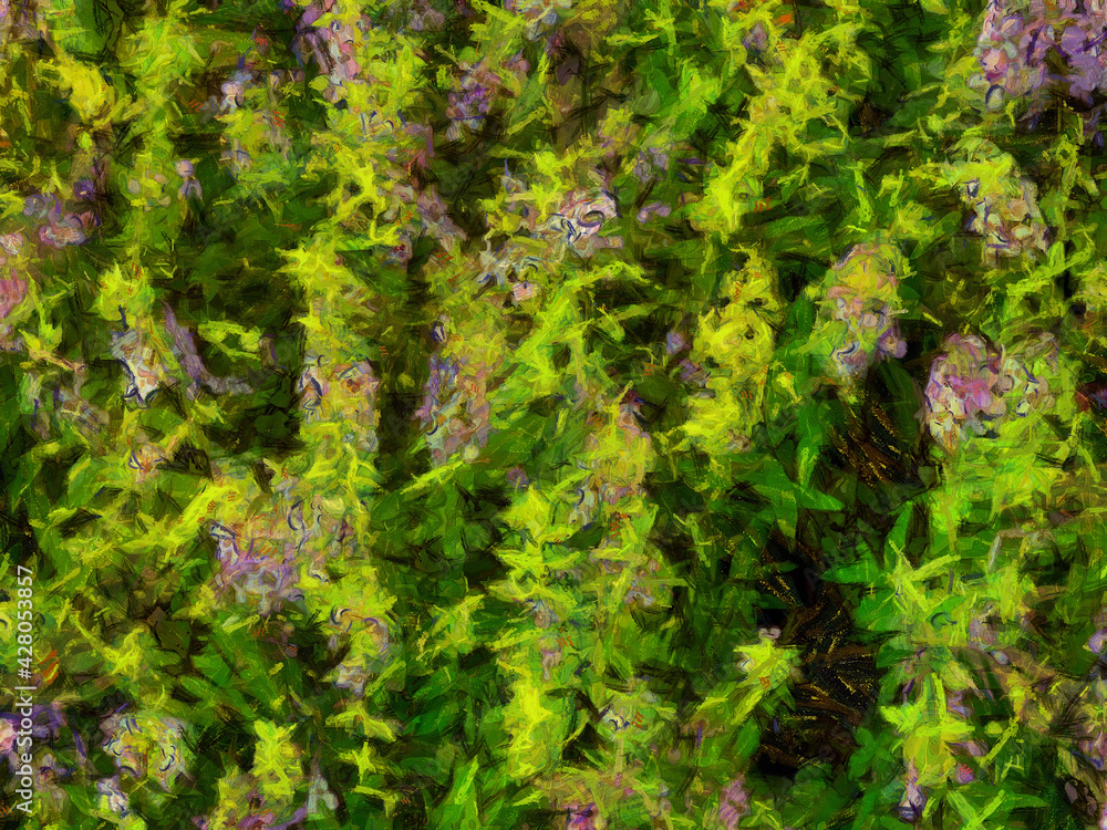 An ornamental shrub with beautiful leaves and various shapes Illustrations creates an impressionist style of painting. An ornamental shrub with beautiful leaves and various shapes Illustrations creates an impressionist style of painting.