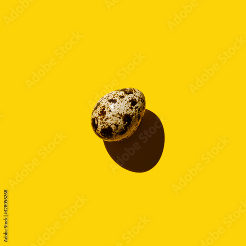 Quail egg on yellow background