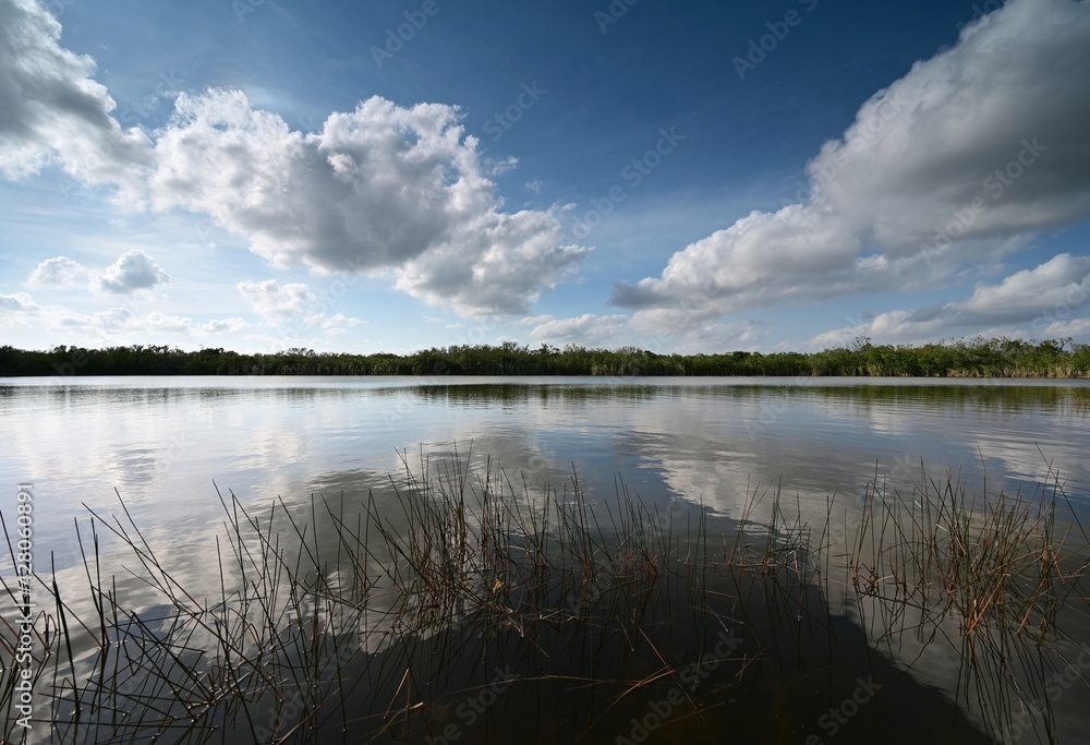 Nine Mile Pond afternoon cloudscape and reflections in Everglades National Park.