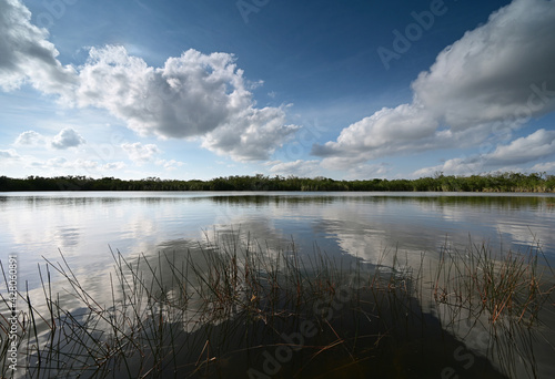 Nine Mile Pond afternoon cloudscape and reflections in Everglades National Park. © Francisco