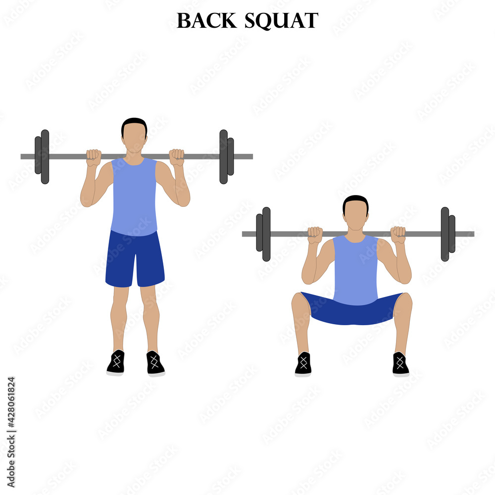 Back squat exercise strength workout vector illustration Back squat exercise strength workout vector illustration