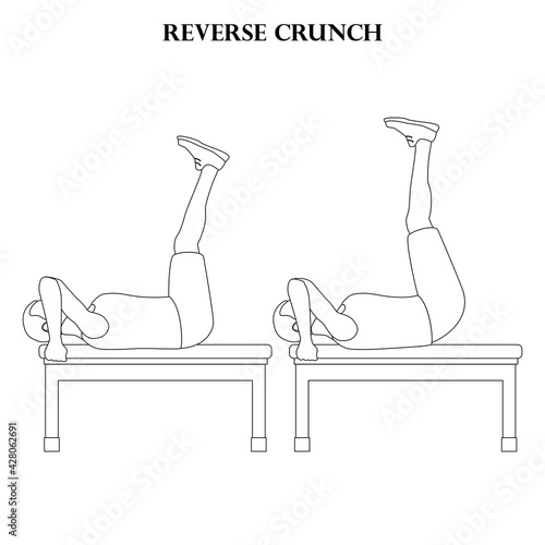Reverse crunch exercise strength workout vector illustration outline