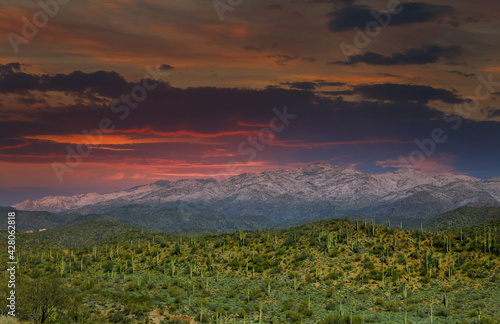 Arizona desert landscape with snow covered mountains in the cactus at sunset