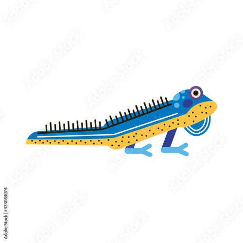 cute iguana amphibian