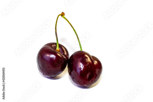 Isolated on White Cherry Background